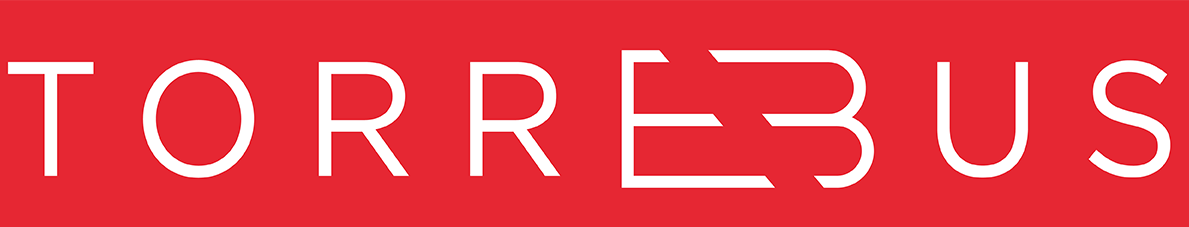 Logo Alsa, ir a inicio
